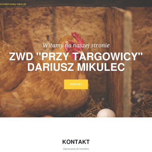 Kury małopolskie - Nowy Sącz